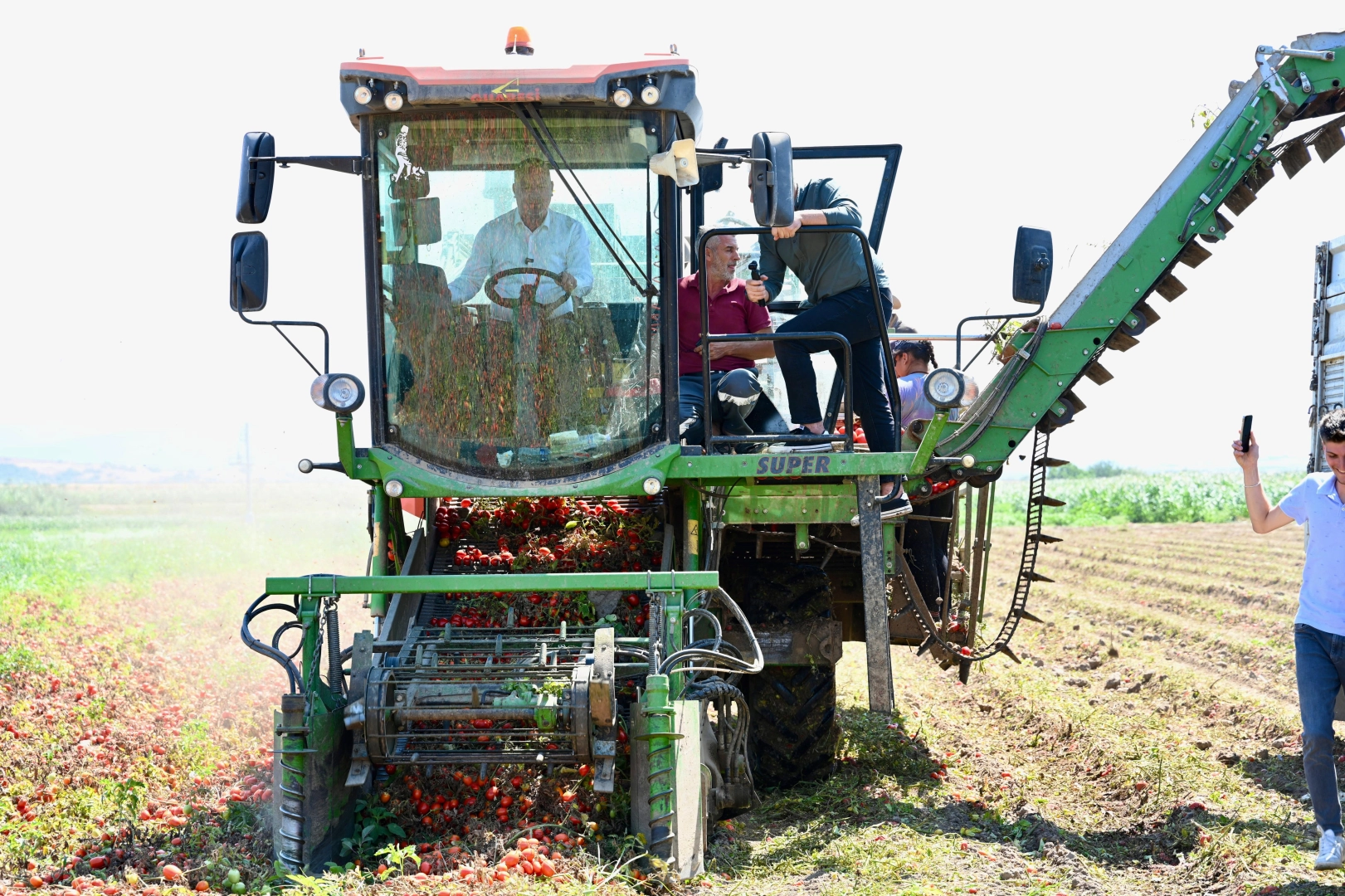 Domates deposu 'verimli ova' Karacabey'de hasat sürüyor